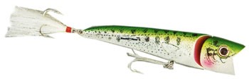   Creek Chub,  I6500JP